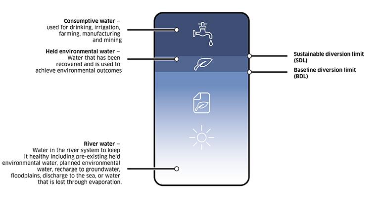Diagram of different types of surface water in the Basin