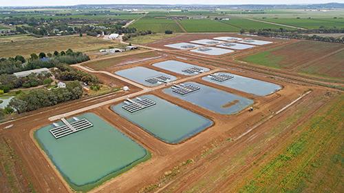 Photogragh of The Aquna Sustainable Murray Cod facility