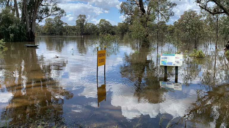 Flood water in Apex Park Mildura, Victoria.