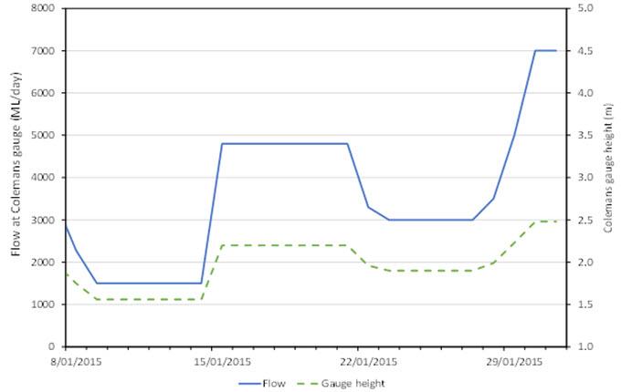 Graph showing reduce flows to around 3000 ML/day for the period 23–27 January. From 28 January, flows will gradually be increased to 7000 ML/day.