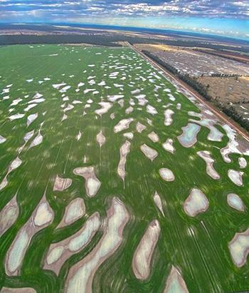 Gilgai country on the Namoi floodplain west of Narrabri