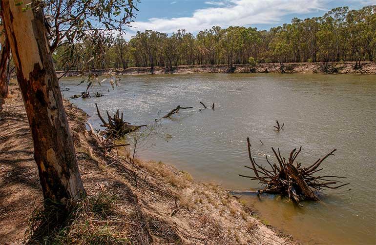 Bank erosion in the Murray River
