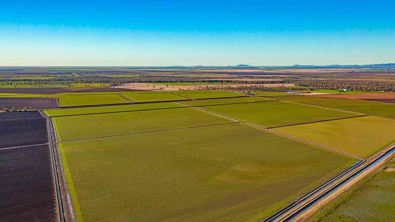 Aerial view of Narrabri region's irrigated agriculture.