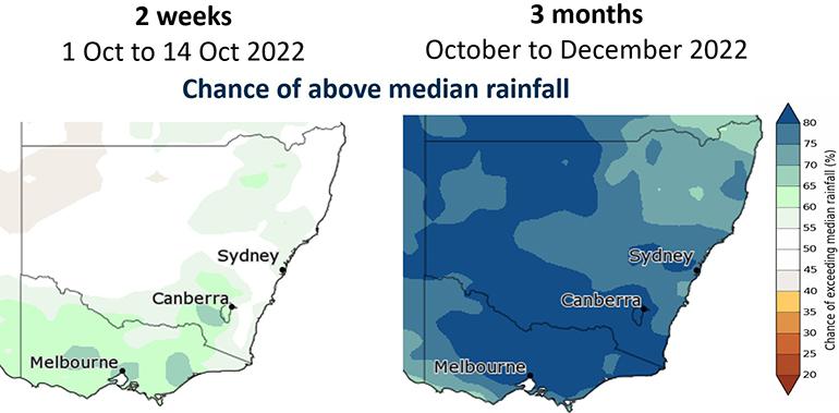 The chance of above-median rainfall in the coming 2 weeks (left) and 3 months (right)