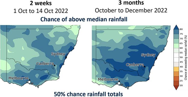 The chance of above-median rainfall in the coming 2 weeks (left) and 3 months (right)