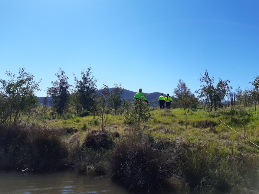 Revegetation site along the river bank, September 2019