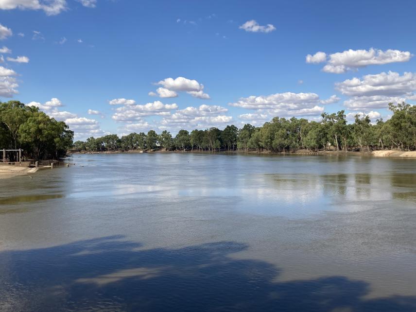 Murray River at Mildura 30 January 2023, before the weir was reinstated