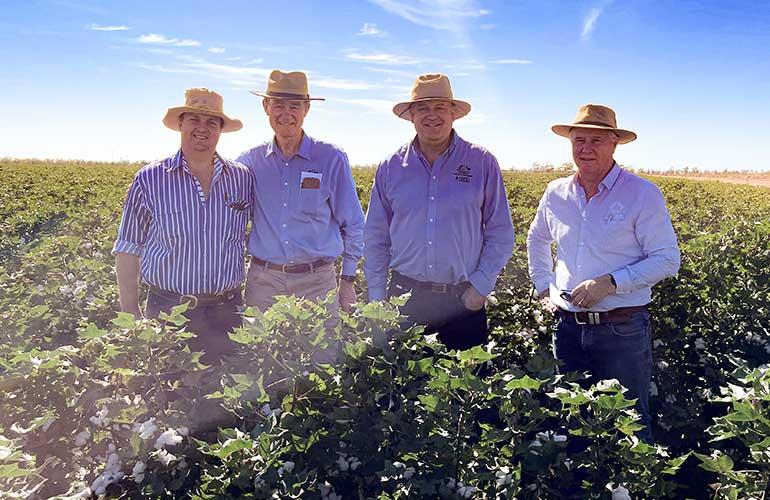 MDBA staff meet with Sam Coulton (Morella Ag) to view a bumper cotton crop